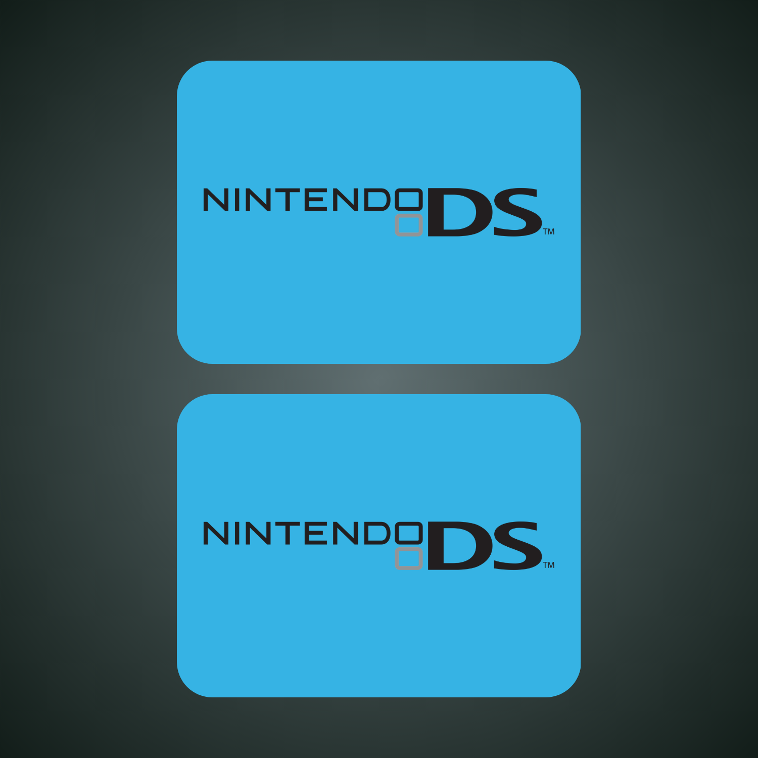Nintendo DS